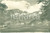 Cartolina originale da collezione 1930 ca PIAN DELLA MUSSA TO Panorama della valle Cartolina FP NV 1