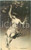 Cartolina originale da collezione 1930 ca EROTICA Ninfa nuda sull altalena Cartolina postale FP NV 1