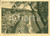 Cartolina originale da collezione 1954 CELLE LIGURE SV Panorama della spiaggia dagli ulivi Cartolina FG VG 1