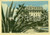 Cartolina originale da collezione 1955 VARAZZE SV Veduta del Grand Hotel Cartolina postale FG VG 1