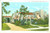 Cartolina originale da collezione 1926 CORAL GABLES, FLORIDA USA Una casa in stile spagnolo Cartolina FP VG 1