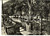 Cartolina originale da collezione 1959 ALASSIO Casa al mare CASSA DI RISPARMIO P.P.L.L. Giardino Cartolina FG VG 1
