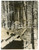Fotografia d epoca originale 1944 FRONTE ORIENTALE WW2 Paracadutisti tedeschi si inoltrano in un bosco Foto 1