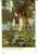 Cartolina originale da collezione 1900 ca COSTUMI LAGO MAGGIORE Donna con una gerla Cartolina ILLUSTRATA FP VG 1