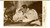 Cartolina originale da collezione 1930 CINEMA PRINCIPE SENZA AMORE George O BRIEN e Virginia VALLI Cartolina FP 1
