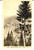 Cartolina originale da collezione 1930 ca ALLEGHE BL Panorama del paese con il lago Cartolina FP NV 1