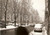 Fotografia d epoca originale 1962 MILANO Auto coperte di neve in Viale Piceno Foto 10x7cm 1