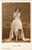 Cartolina originale da collezione 1930 ca CINEMA Attrice Corinne GRIFFITH con tiara Cartolina FP NV 2 1