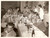 Fotografia d epoca originale 1970 ca MANTOVA Renata ANGIOLINI premiata durante cena di gala Foto JOLLY CLUB 1