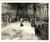 Fotografia d epoca originale 1960 ca USA CINEMA Film COMMEDIA Donna in fuga in un sogno Foto 24x20 cm 1