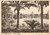 Cartolina originale da collezione 1943 REGGIO CALABRIA Panorama del giardino pubblico Cartolina FG VG 1