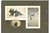 Fotografia d epoca originale 1919 ITALIA REDENTA PREDOI Alpinisti verso il rifugio VETTA D ITALIA 3 foto 1