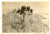 Fotografia d epoca originale 1917 Massiccio della PRESOLANA Gruppo di alpinisti in vetta  Foto VINTAGE 15x10 1