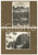 Fotografia d epoca originale 1920 ca ALTO ADIGE Lago di Carezza  Gruppo del Catinaccio Lotto 2 foto VINTAGE 1
