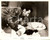 Fotografia d epoca originale 1966 THE WILD ANGELS Lou PROCOPIO mutes a girl Movie by Roger CORMAN Photo 25x20 1