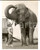 Fotografia d epoca originale 1960 CIRCUS The daughter of Gosta KRUSE with an elephant Photo 14x18 cm 1