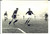 Fotografia d epoca originale 1958 CALCIO FIORENTINAGENOA 71 Goal di Sergio CARPANESI Foto 18x13 cm 1