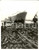 Fotografia d epoca originale 1961 Cantieri di SESTRI PONENTE Il varo della motonave BONASSOLA Foto 18x24 cm 1