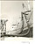 Fotografia d epoca originale 1954 Porto di GENOVA Scarico petrolio da nave CAMILLA con tubi PIRELLI Foto 1