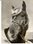 Fotografia d epoca originale 1959 SYDNEY AUSTRALIA Racehorse TELEMARK wearing a chic creation Photo 1