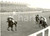 Fotografia d epoca originale 1956 DONCASTER  St Leger Stakes  Freddie PALMER wins on Cambremer Photo 1