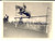 Fotografia d epoca originale 1902 TORINO IPPICA Cavallo NINICHE durante un esercizio Foto VINTAGE 12x9 cm 1