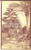 Fotografia d epoca originale 1918 PORTO MAURIZIO Carlo BRIZZI  Ritratto in lettura tra le palme Foto 9x14 1