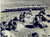 Fotografia d epoca originale 1959 MONGOLIA Tosatura delle pecore in un villaggio dell interno  Foto 18x13 1