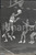 Fotografia d epoca originale 1960 PARIS BASKETBALL Match FranceBelgique  Roger ANTOINE en action Photo 1