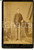Fotografia d epoca originale 1890 ca BUENOS AIRES Ritratto di giovane con un libro  Foto G. CAPPELLI 12x16 1