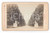 Fotografia d epoca originale 1871 DRESDEN GERMANY Allee im Grossen Garten  Giardini Reali Photo HOFFMANN 1
