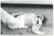 Fotografia d epoca originale 1969 MILANO ANNI DI PIOMBO Manifestante a terra colpito Foto 3 30x20 cm 1