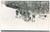 Fotografia d epoca originale 1920 ca GERMANY  SKI  Family on the snow  Photo postcard 14x9 cm 1