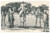 Cartolina originale da collezione 1910 ca EGYPT  TYPES AND SCENES  Camels and Drivers Postcard 1