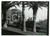 Fotografia d epoca originale 1936 SANREMO BUSSANA Villa Spinola  Scorcio del giardino Foto 23x17 cm 1