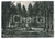 Cartolina originale da collezione 1956 SANTO STEFANO IN ASPROMONTE RC La Pineta di Gambarie  Cartolina FG VG 1