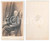Fotografia d epoca originale 1870 ca TORINO Ritratto di nobiluomo seduto  Fotografia A. L. VIALARDI CDV 1