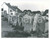 Fotografia d epoca originale 1963 CARNAC  FRANCE Les Alignements  Foto ARTISTICA 24x18 cm 1
