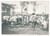 Fotografia d epoca originale 1935 ca ANTANANARIVO MADAGASCAR Rizerie d ANTANIMENA  Fiera bestiame Foto 3 1