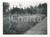 Fotografia d epoca originale 1935 ca MADAGASCAR  AGRICOLTURA  Piantagione  Foto 18x13 cm 1