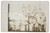 Fotografia d epoca originale 1912 TRIPOLI LIBIA ITALIANA Ufficiali italiani con bambini indigeni Foto 14x9 1