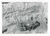 Fotografia d epoca originale 1957 GINEVRA Costruzione del CERN  Cantiere  Foto 10x7 cm 2 1