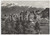 Cartolina originale da collezione 1950 ca CHIOMONTE Panorama Pian del Frais e Monte Rocciamelone  Cartolina FG 1