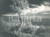 Fotografia d epoca originale 1960 ca LAGO DI GARDA  Veduta con albero Foto artistica Alberto SORLINI 40x30 1