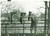 Fotografia d epoca originale 1959 CECOSLOVACCHIA Sentinella con mitra al confine con la POLONIA  Foto 18x13 1