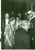 Fotografia d epoca originale 1958 ROMA Teatro Opera  Giovanni GRONCHI con la moglie alla prima della Norma 1