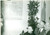 Fotografia d epoca originale 1963 TORINO Liceo GINO SEGRÃˆ  Emilio SEGRÃˆ con la targa dedicata allo zio 1