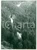 Fotografia d epoca originale 1982 CAMPO TURES BZ Veduta del torrente Riva Fotografia vintage 13x18 cm 1