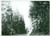 Fotografia d epoca originale 1982 PASSO DI PENNES BZ Veduta del valico Fotografia vintage 18x13 cm 1