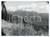 Fotografia d epoca originale 1982 TRENTINO ALTO ADIGE Panorama tra Levico e Vetriolo  Foto 17x13 cm 1